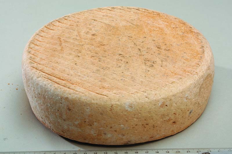 Tomme d’Aydius