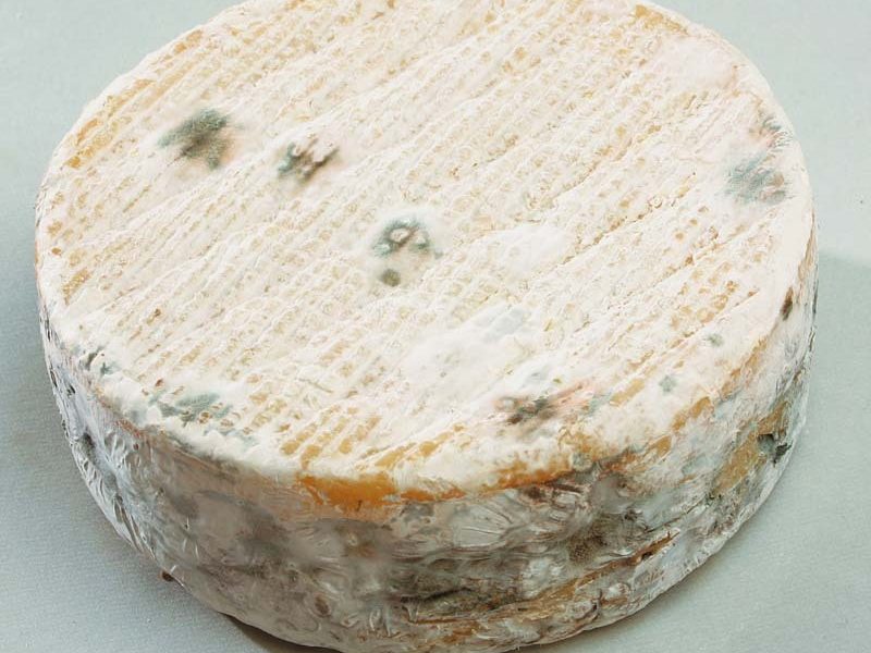 Sourire Lozérien