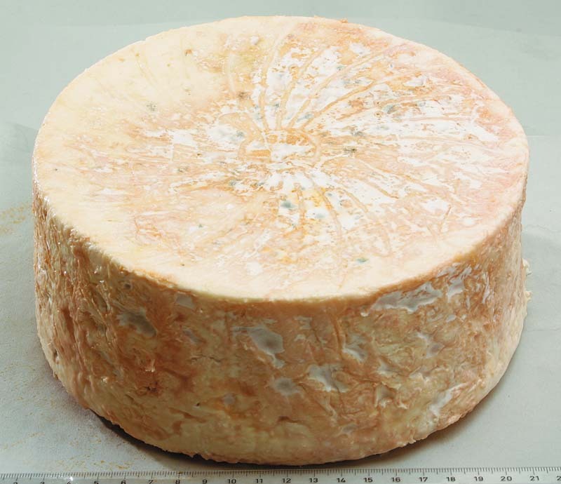 Bleu de brebis Aigle Noir • Fromage — free download
