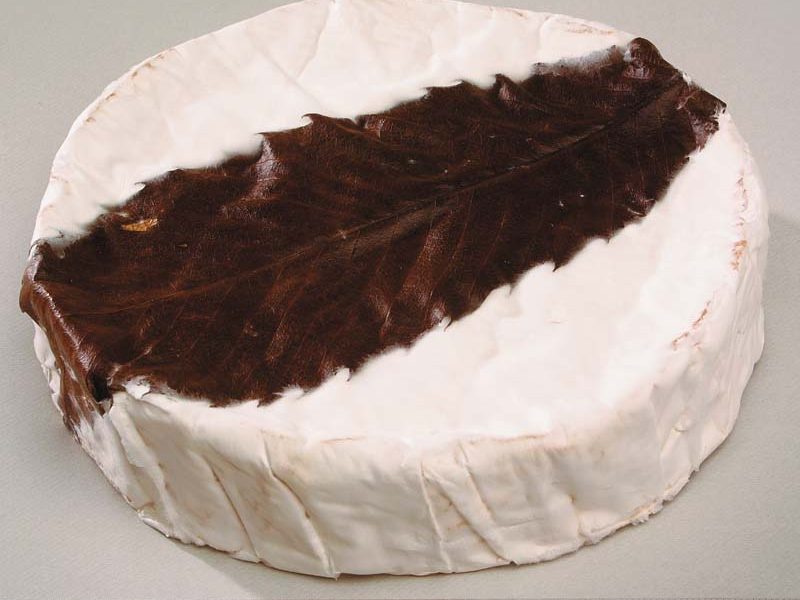 Feuille de Dreux