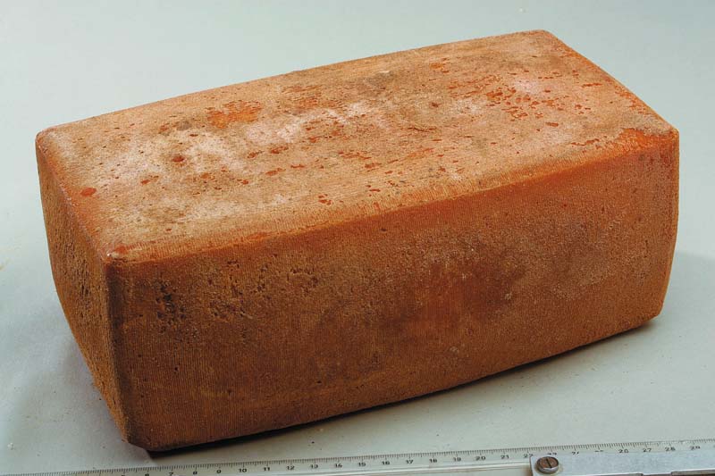Pavé du Nord