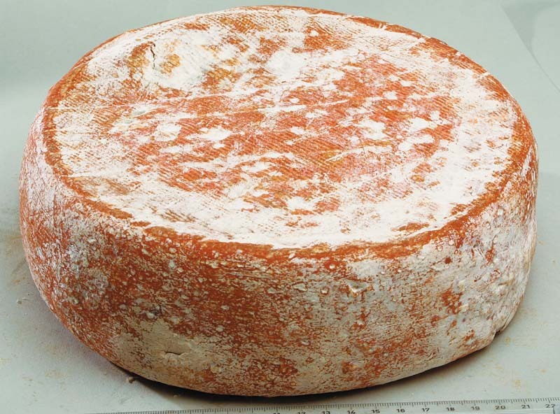 Cosso vache-chèvre