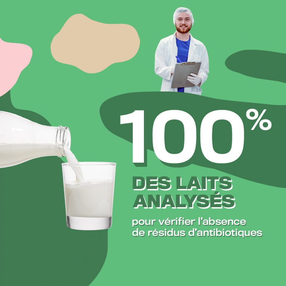Qu est ce Qu il Y A Dans Le Lait Les Produits Laitiers Qu est ce Qu il Y A Dans Le Lait Les Produits Laitiers