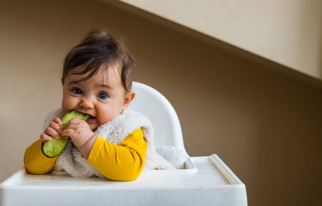 Bébé qui mange une tranche de courgette