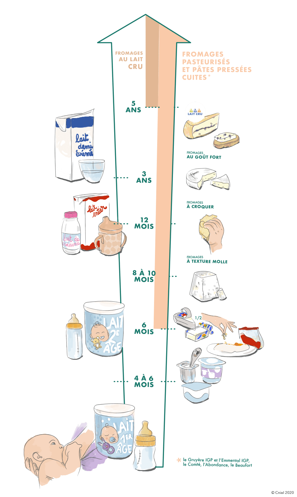 Diversification alimentaire : quels yaourts et fromages pour mon bébé ?