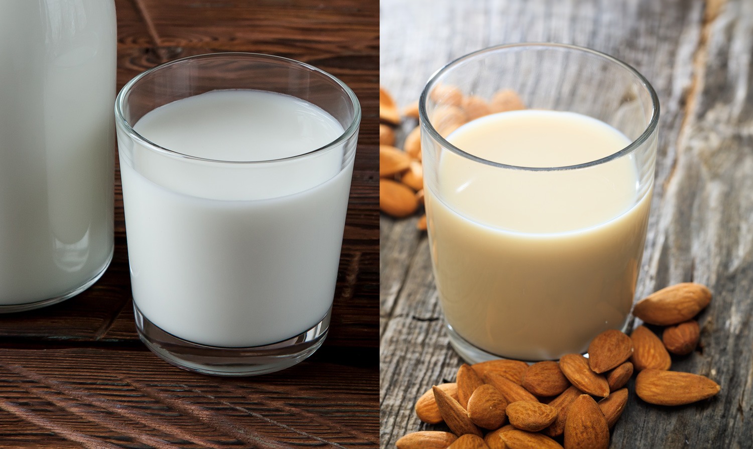 Alimentation. Les laits végétaux sont-ils vraiment bons pour la santé ?