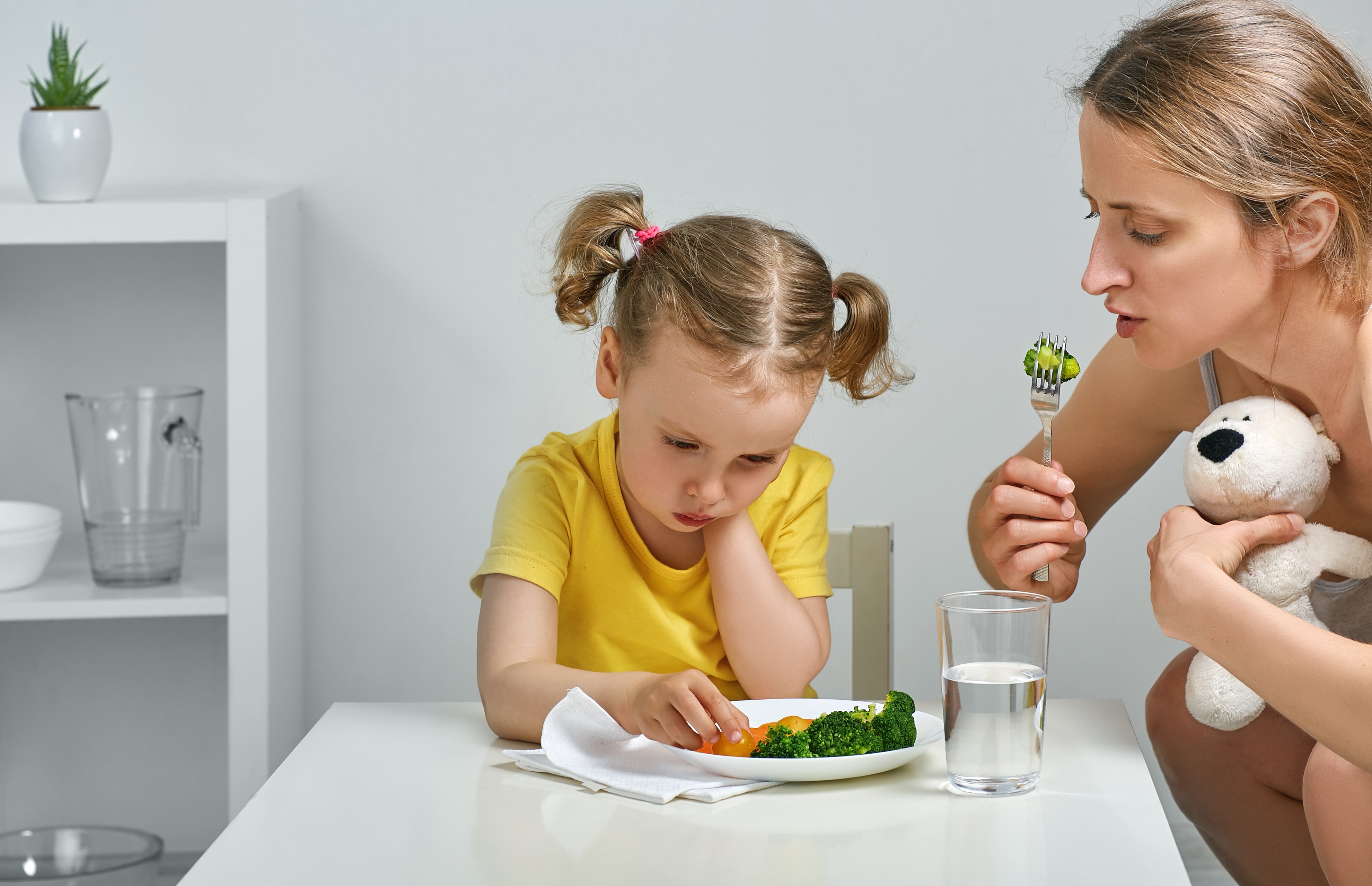 Alimentation de l'enfant: la grande assiette